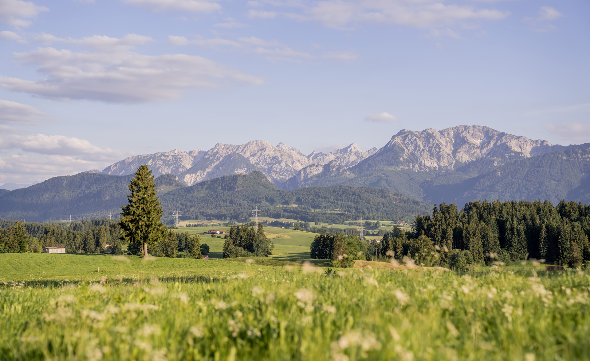 Haus Zauberberg Umgebung
