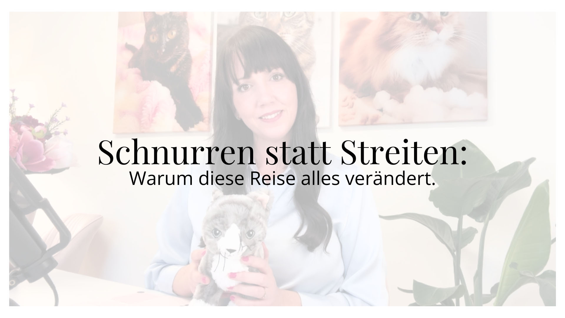 Schnurren statt Streiten Kursinfo
