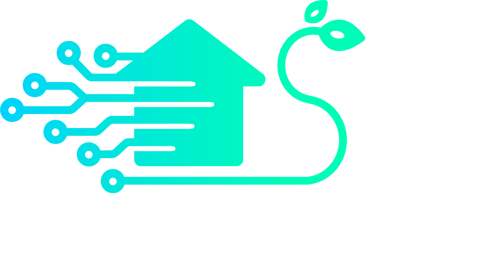 SmartSpace Consulting