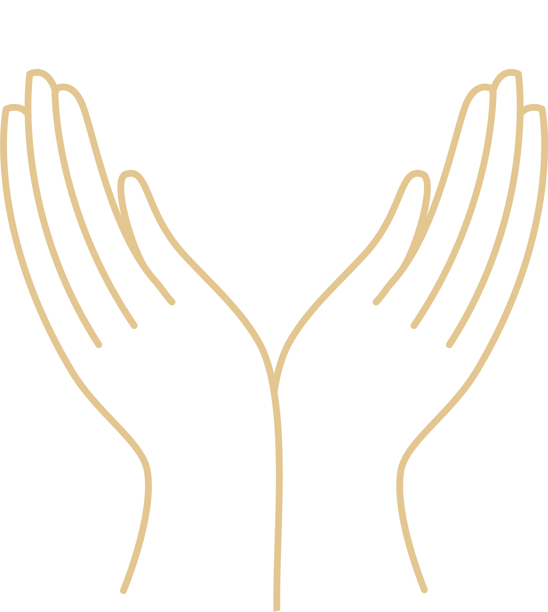 Physiotherapie Schaffhausen Thayngen