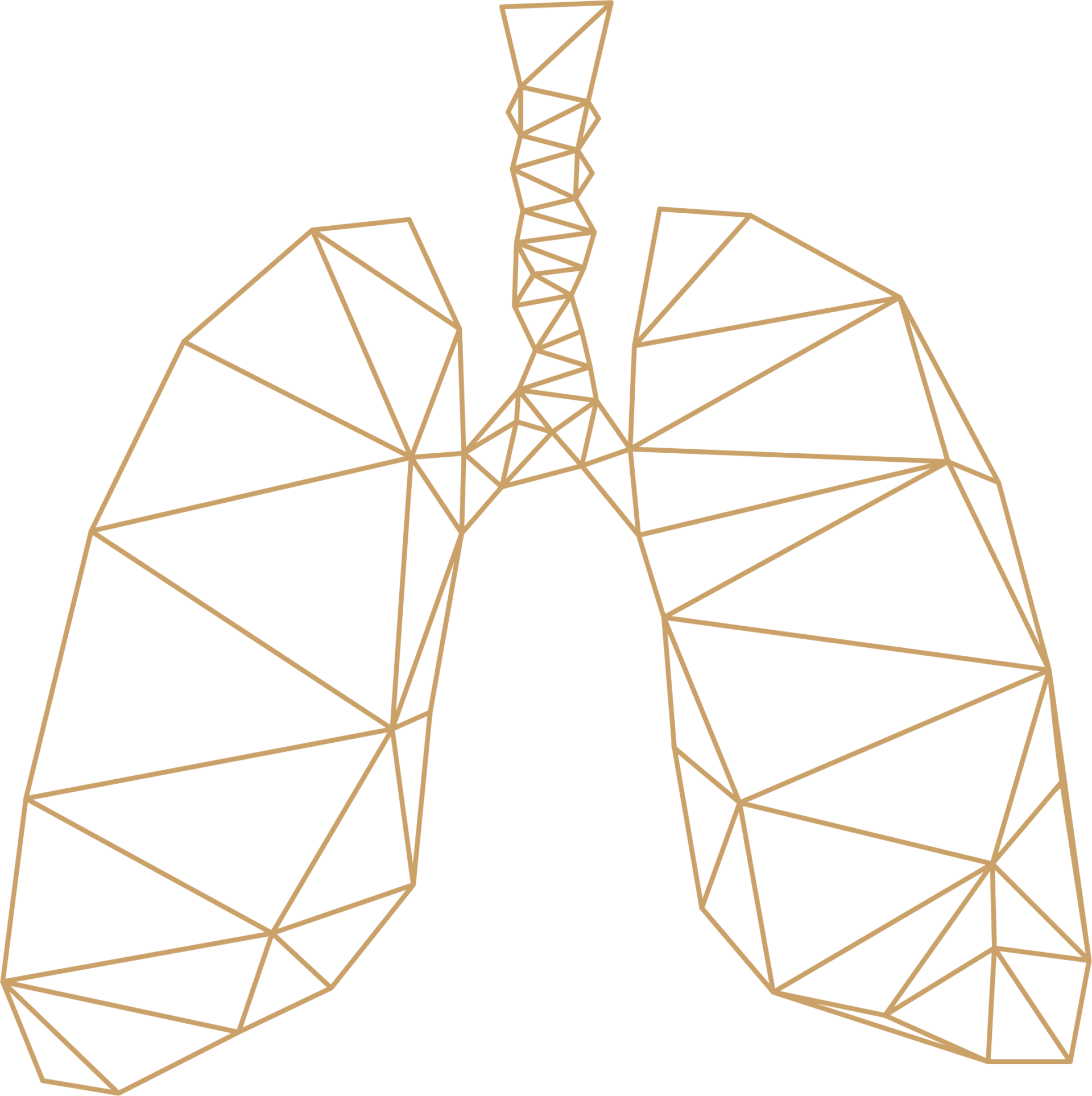 Physiotherapie Schaffhausen Thayngen