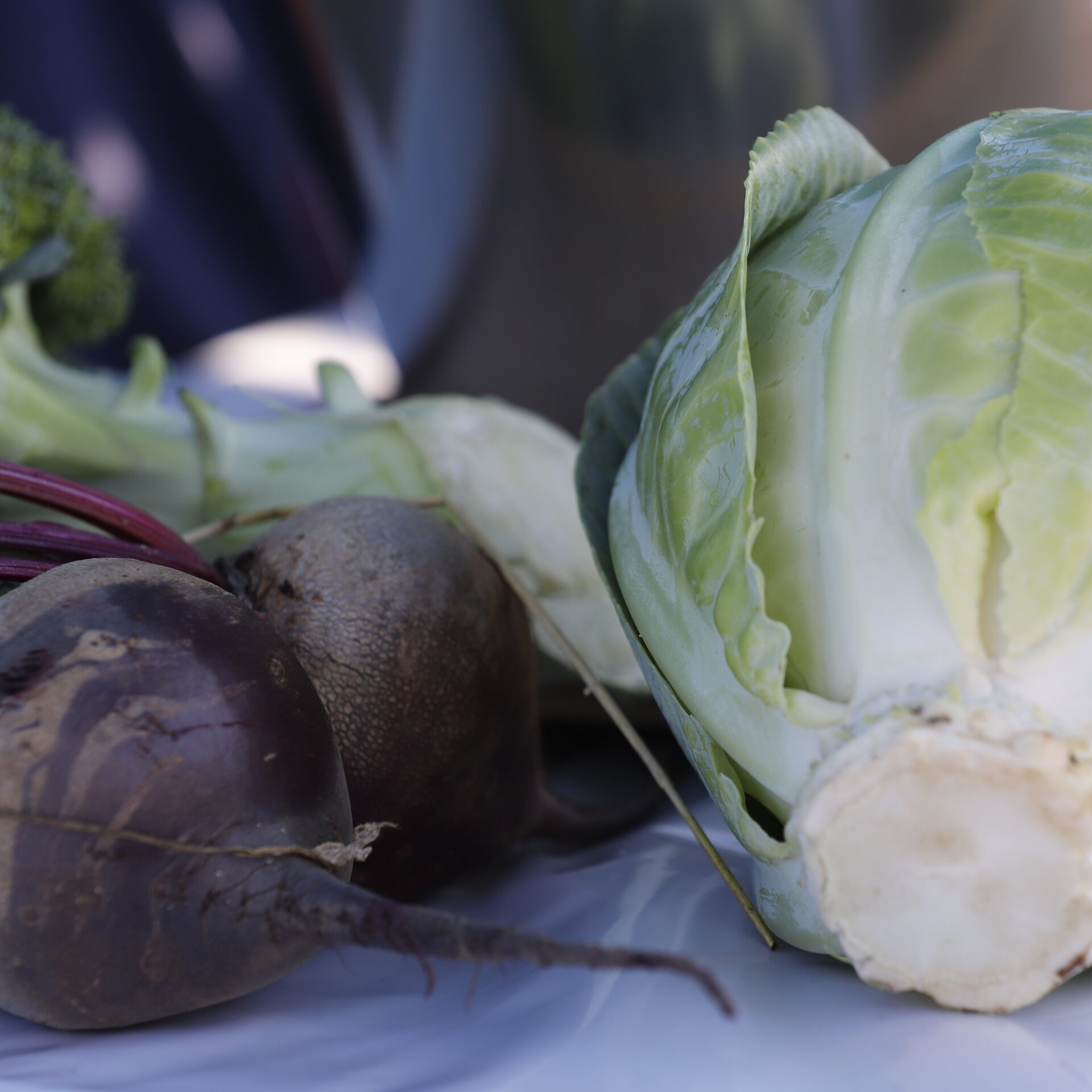 Weißkohl + Rote Beete