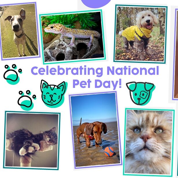 In April we celebrated National Pet Day where we were introduced to some of The Skills Network’s furry, scaly and feathered friends.