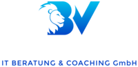 Brave Vision GmbH - Logo