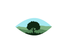 perfectlandscapeinc.com