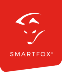 Mounting Solutions Logo