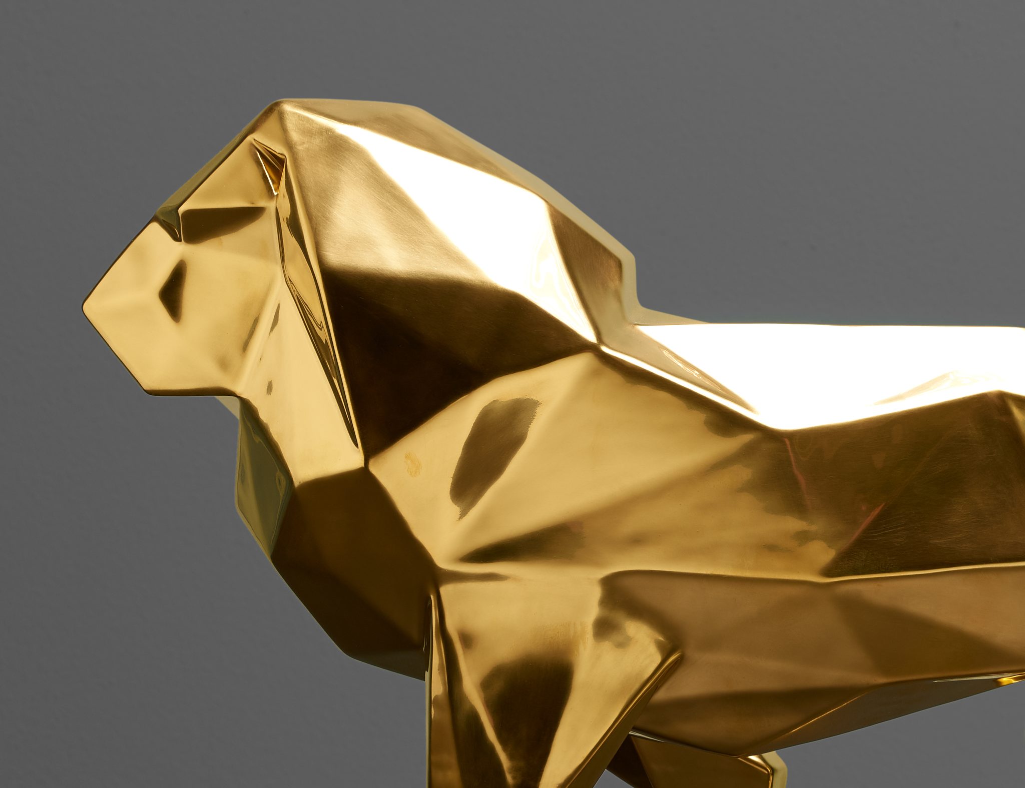 The Lion In Gold