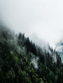 Wilder Kaiser Berlin – Alpine Küche & österreichische Spezialitäten