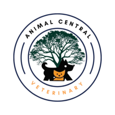 Animal Central