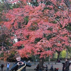Central Park, New York, USA, 2013