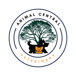 Animal Central