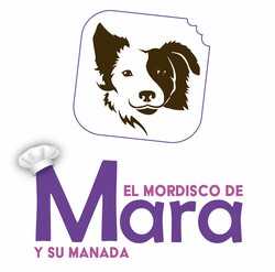 elmordiscodemara.com