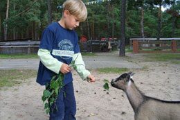 kid in the Amusement park