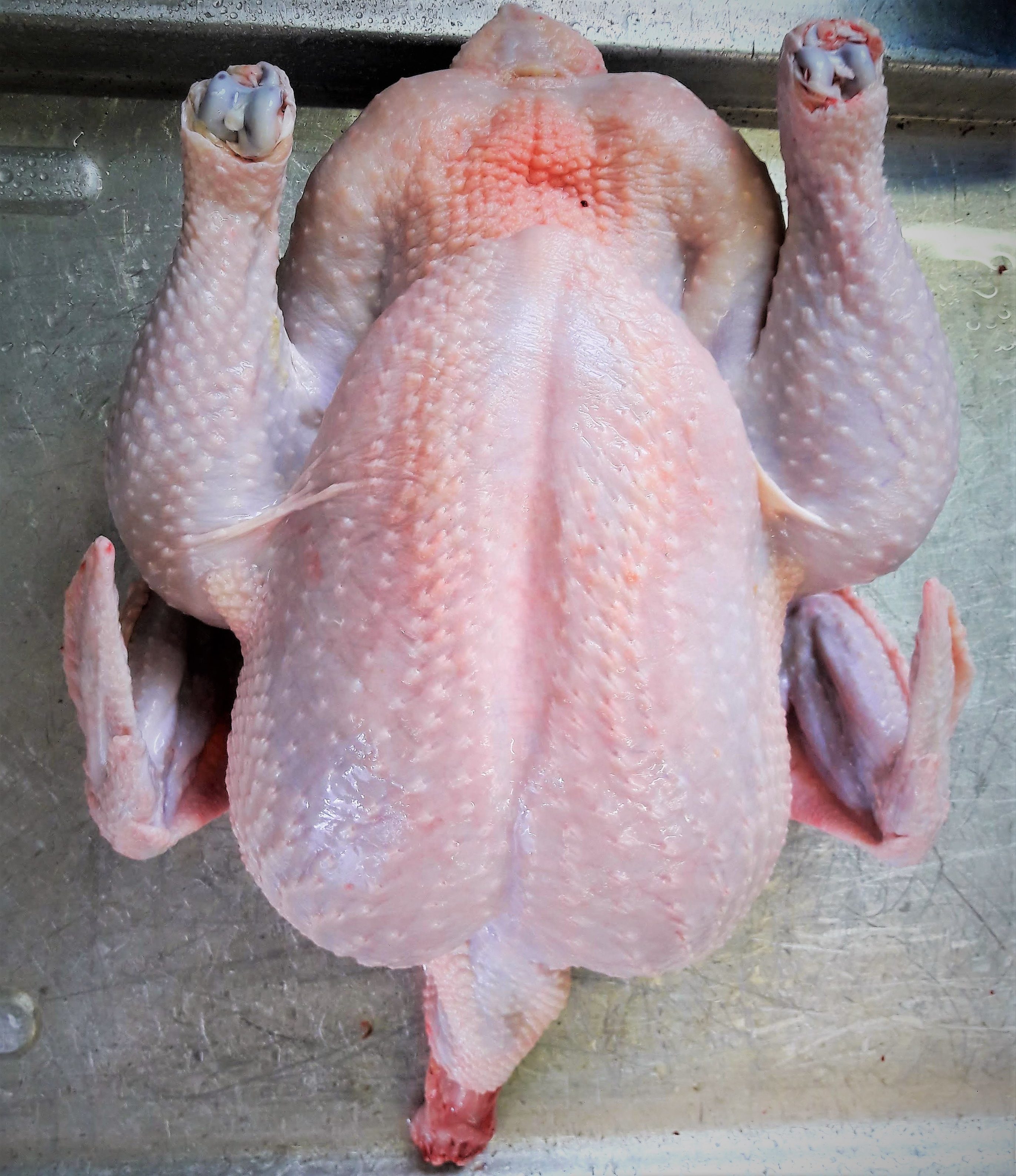 Geflügel geschlachtet