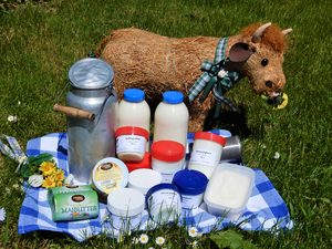 Milchprodukte