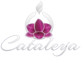 Cataleya Shisha Lounge