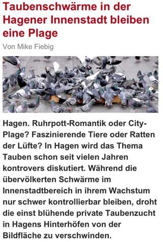 Brennecke Cleaning Taubenvergrämung