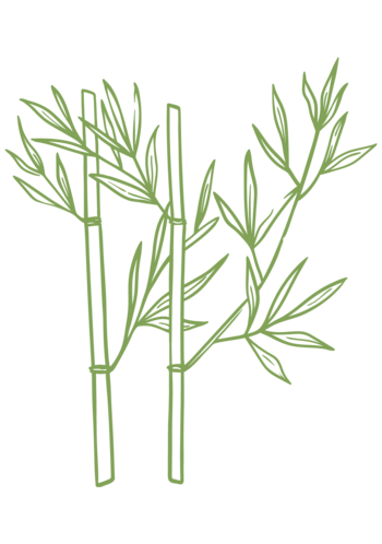 illustration of bamb