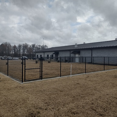 5' Tall Commercial Black Chain Link with Concrete Mow Strip 1 Dog Run