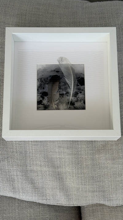 'schwimmen auf dem See IV' 2026
kleine Werke
25x25 cm  mit Rahmen
für 290 Euro