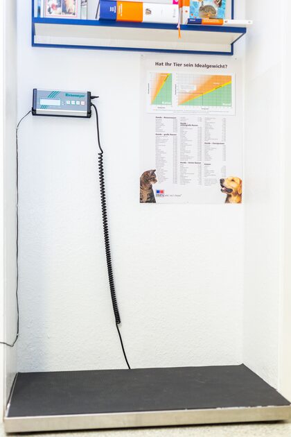 Waage Tierarzt
