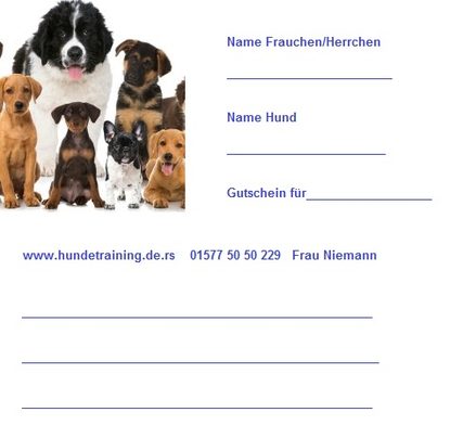 Gutschein sale Hundetraining