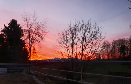 Abendstimmung im Pensionsstall Honegg