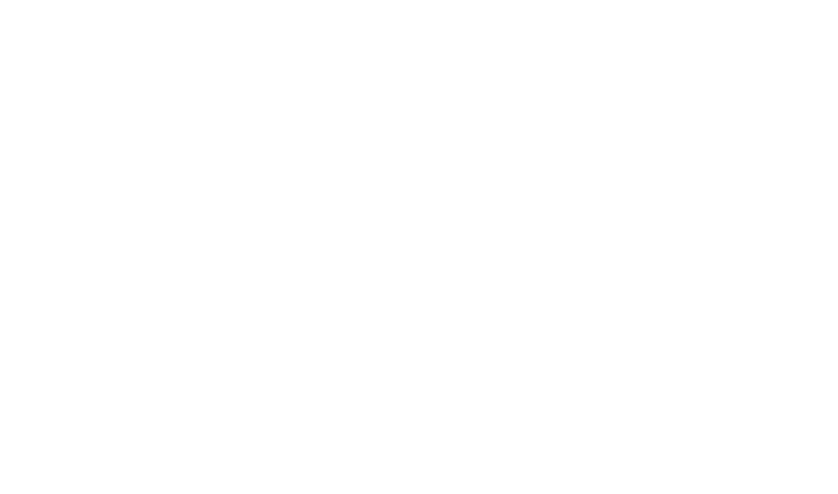 Three Monkeys Portfolio 