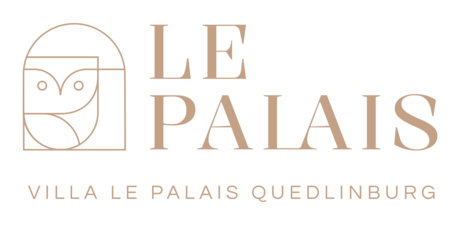 Villa Le Palais logo footer