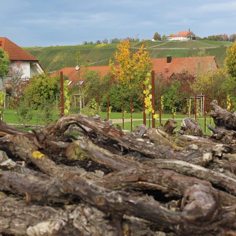 Der Nordheimer Friedweinberg, geweiht im Dezember 2018 Quelle: Touristikrat Nordheim am Main