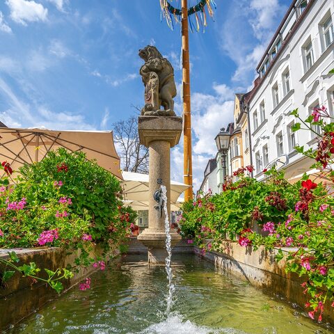 Brunnenlöwe im Markt © Stadt Marktredwitz