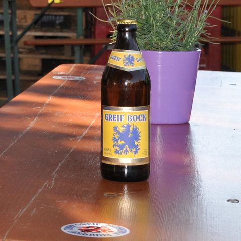 So sehen Sieger aus: Den Greif-Bock gibt es in vielen Märkten Forchheims und direkt bei der Brauerei  Foto: Leo Hühnlein