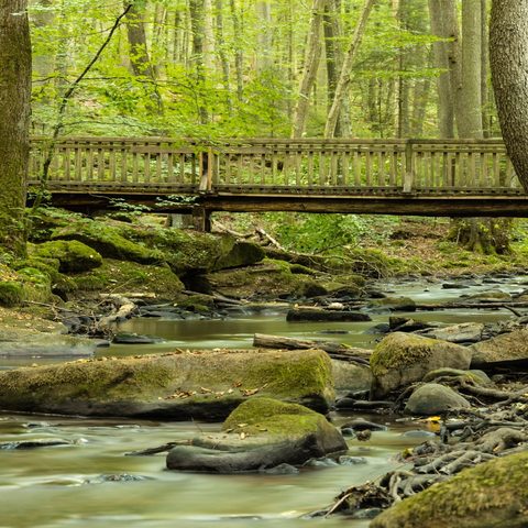 Brücke Thulbataler
Bildrechte: Christian Bayer
Quelle: Markt Oberthulba/Frau Wirth