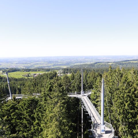 Skywalk Allgäu
Bildrechte: Skywalk Allgäu