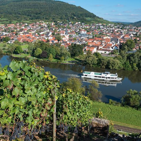 Weinberge Blick auf Bürgstadt l © Bernd Ullrich Quelle: DREI AM MAIN