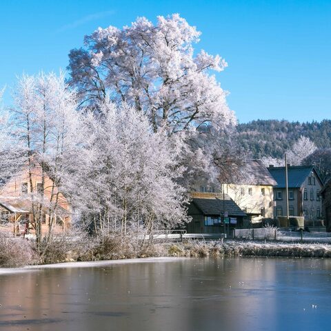 Dorfweiher © Gemeinde Glashütten