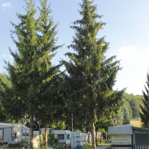 Campingplatz am Hauenstein
Quelle: Campingplatz am Hauenstein/Frau Schmidt