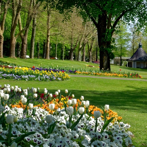Kurpark © Holger Schmitt