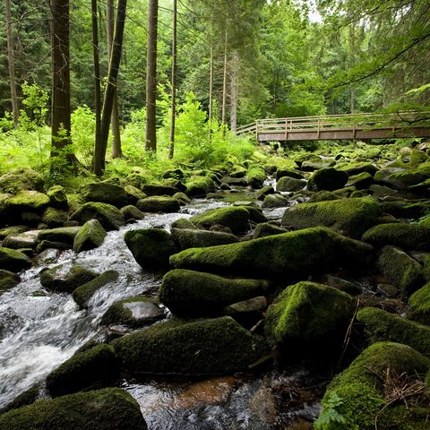 Waldkirche Saussbachklamm © Foto Tourismusbuero Waldkirchen Quelle: Tourismusverband Ostbayern e.V.