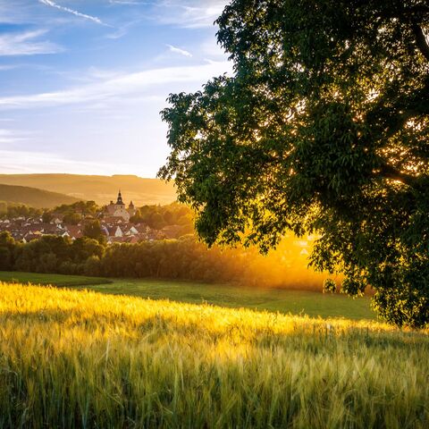 Ostheim vom Büchig aus © Stefan Thomas Stadt Ostheim v. d. Rhön