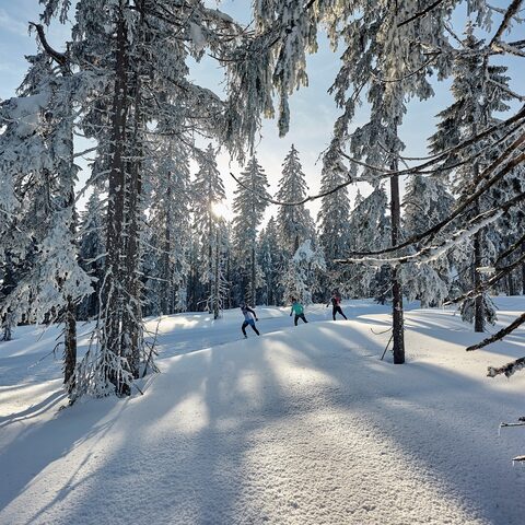 Langlauf © Fischer Sports / Tourismus GmbH Ochsenkopf