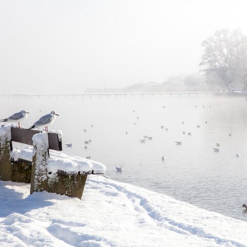 Winter © Tourismusverband Ammersee-Lech e.V / Robert Klinger