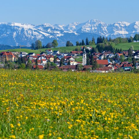Scheidegg im Frühjahr
Bildrechte: Scheidegg-Tourismus, Thomas Gretler
