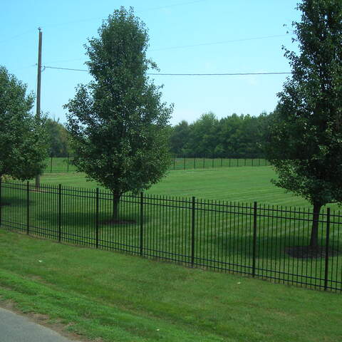 6' Tall Black Ornamental Aluminum Spear Point