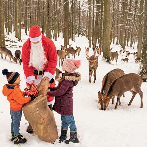 An den Adventssonntagen kommt der Weihnachtsmann zu Besuch – mit Säcken voller Geschenke für die Kinder. Quelle: Erlebnispark Tripsdrill GmbH & Co. KG
