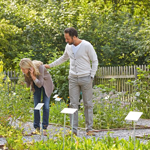 Der Duft- und Aromagarten in Bad Wörishofen © Kur- und Tourismusbetrieb Bad Wörishofen