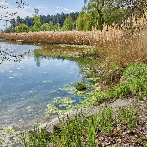 Naturpark Steigerwald © Gemeinde Lisberg