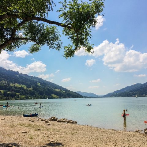 Baden Grosser Alpsee Quelle: Stadtverwaltung Immenstadt