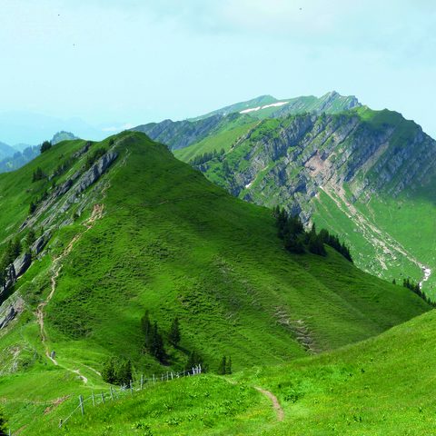 Stuiben Nagelfluhkette Bildnachweis: Stadt Immenstadt / Alpsee Immenstadt Tourismus GmbH