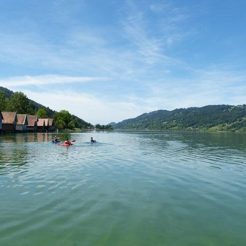Großer Alpsee Immenstadt Bildnachweis: Stadt Immenstadt / Alpsee Immenstadt Tourismus GmbH